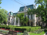 primarie.iasi.2014.jpg